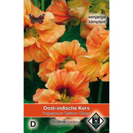 Tropaeolum majus 'Salmon Gleam' - Oost-Indische kers - afbeelding 1