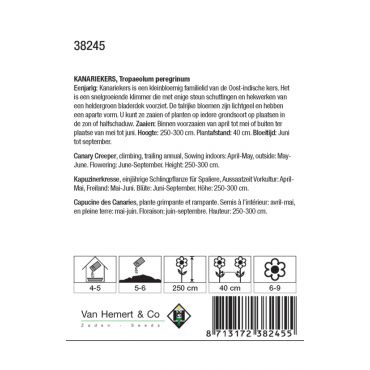 Tropaeolum peregrinum - kanariekers - afbeelding 2