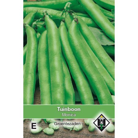 Tuinboon Monica, 60 gr. - afbeelding 1