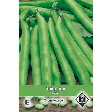 Tuinboon Monica, 60 gr. - afbeelding 1