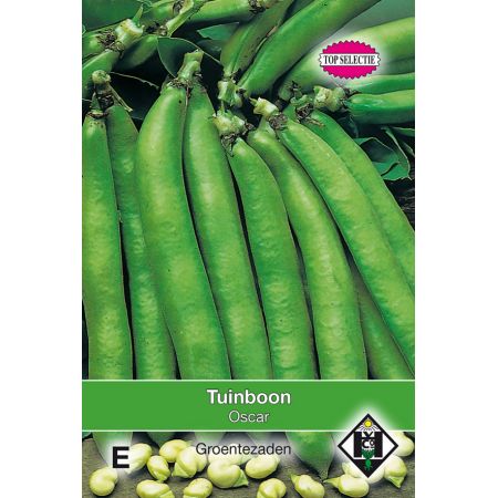 Tuinboon Oscar, 60 gr. - afbeelding 1