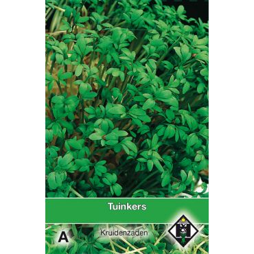 Tuinkers / Lepidium - afbeelding 1