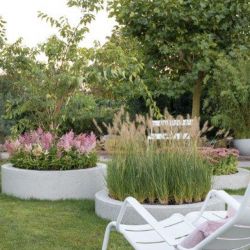 Tuinplanten