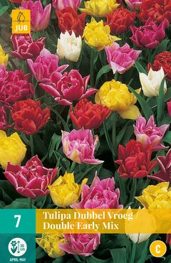 Tulipa Dubbel Vroeg Mi