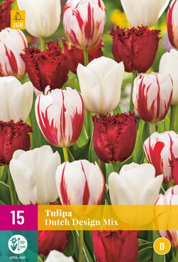 Tulipa Dutch Design Mix