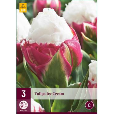 Tulipa Ice Cream