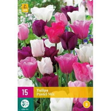 Tulipa Pastel Mix