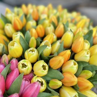 Tulpenbosje 7 stuks - geel - afbeelding 3