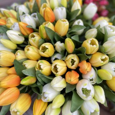 Tulpenbosje 7 stuks - geel - afbeelding 4