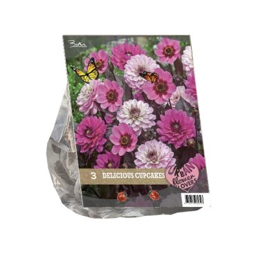 Urban delicious cupcakes 3st