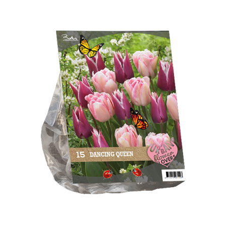 Urban Flowers - Dancing queen per 15