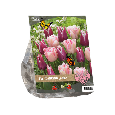 Urban Flowers - Dancing queen per 15