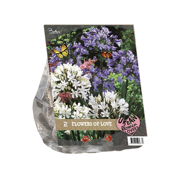 Urban Flowers - Flowers of Love