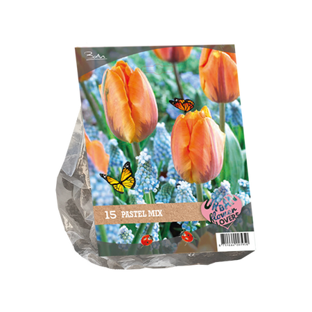 Urban Flowers - Pastel mix per 15
