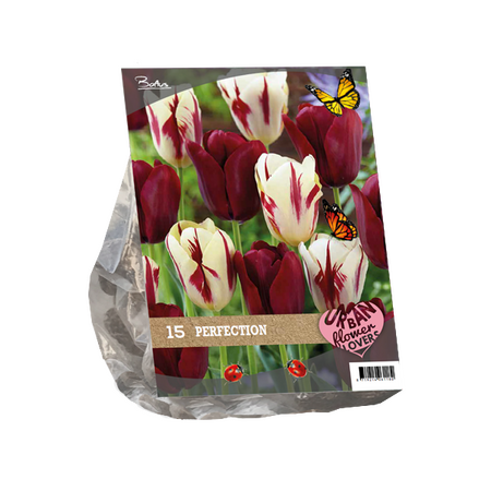 Urban Flowers - Perfection per 15