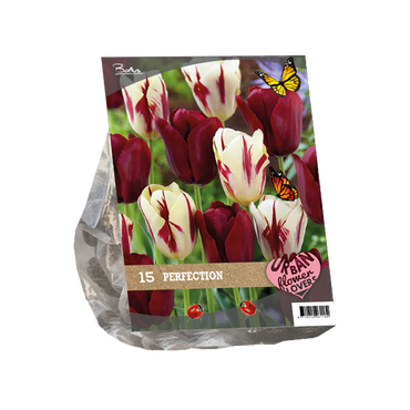 Urban Flowers - Perfection per 15