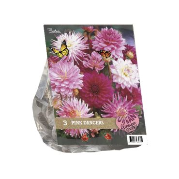 Urban flowers pink dancers 3st