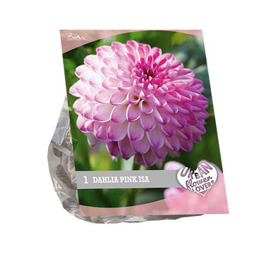 Urban Flowers - Pink Isa per 1