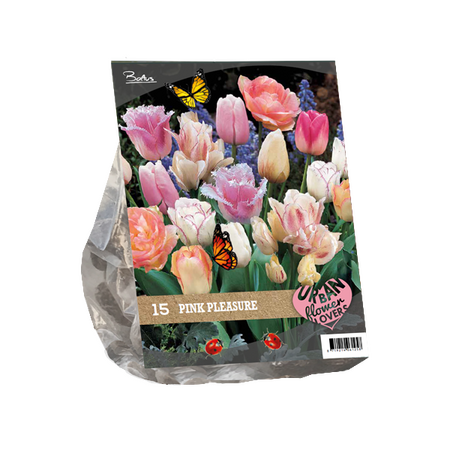 Urban Flowers - Pink pleasure per 15