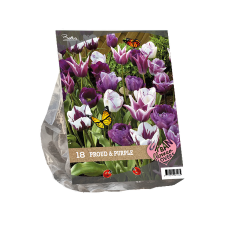 Urban Flowers - Proud & Purple per 18