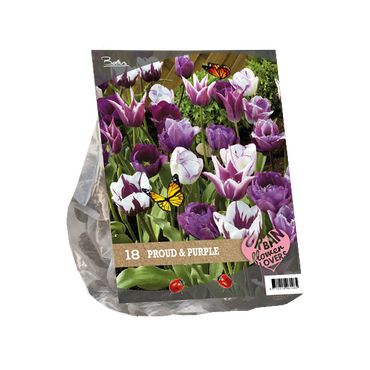 Urban Flowers - Proud & Purple per 18