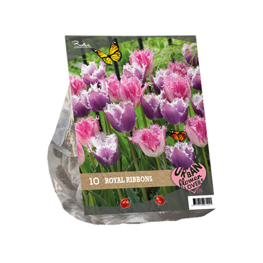Urban Flowers - Royal ribbons per 10