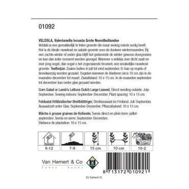 Veldsla Grote Noordhollandse - afbeelding 2