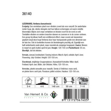 Verbena bonariensis - ijzerhard - afbeelding 2