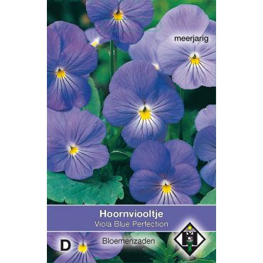 Viola cornuta Blue Perfection - afbeelding 1