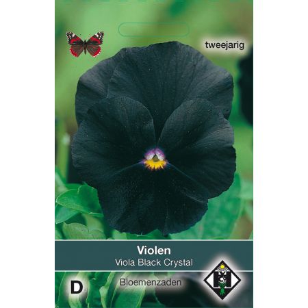 Viola x wittrockiana Black Cristal - afbeelding 1