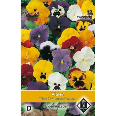 Viola x wittrockiana Zwitserse Reuzen - afbeelding 1