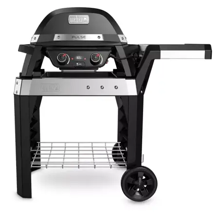 Weber Pulse 2000 met stand