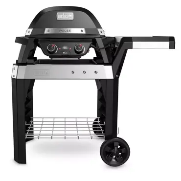 Weber Pulse 2000 met stand