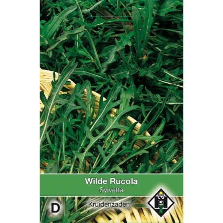 Wilde Rucola Sylvetta / Diplotaxis - afbeelding 1