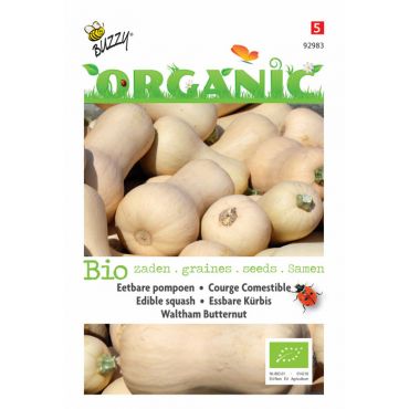 Eetbare Pompoen Waltham Butternut (BIO) - afbeelding 1