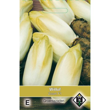 Witlof Zoom F1 - afbeelding 1