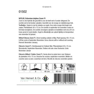 Witlof Zoom F1 - afbeelding 2