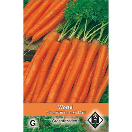 Wortel 'Amsterdamse Bak 2' Maxi, 10 gr - afbeelding 1
