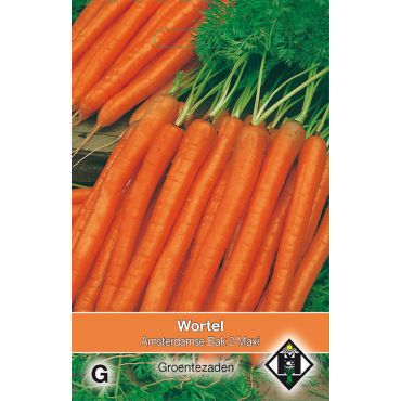 Wortel 'Amsterdamse Bak 2' Maxi, 10 gr - afbeelding 1