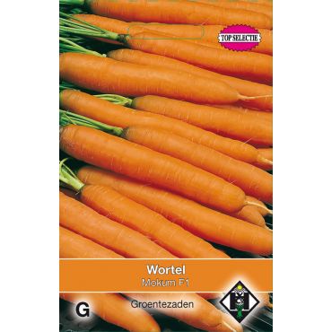 Wortel Mokum F1 - afbeelding 1