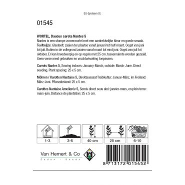 Wortel Nantes 5 - afbeelding 2