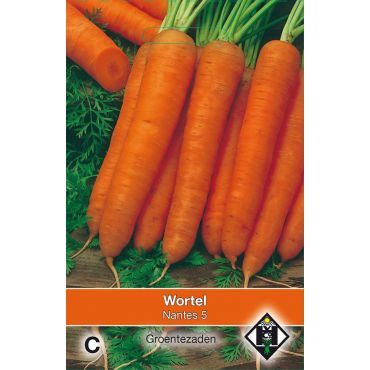 Wortel Nantes 5 - afbeelding 1