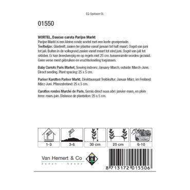 Wortel Parijse Markt - afbeelding 2
