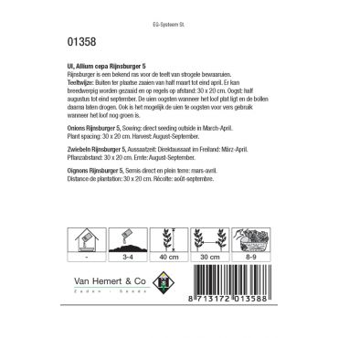 Zaaiui 'Rijnsburger 5' - afbeelding 2