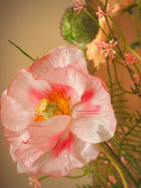 Zijden boeket 'Pretty Peach' - klein - afbeelding 2