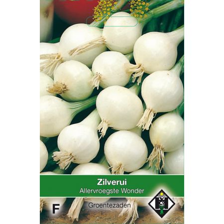 Zilverui 'Allervroegste wonder' - afbeelding 1