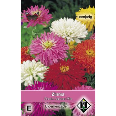 Zinnia elegans Cactus Mix - afbeelding 1