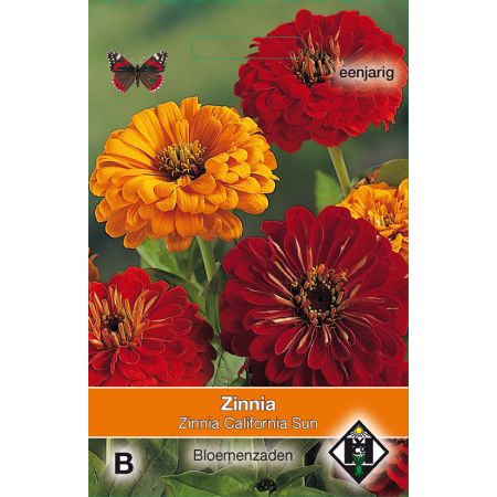 Zinnia elegans California Sun - afbeelding 1