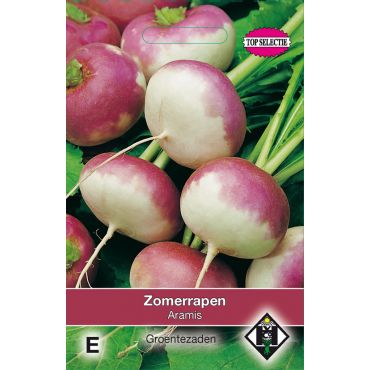 Zomerrapen Purple Top - afbeelding 1