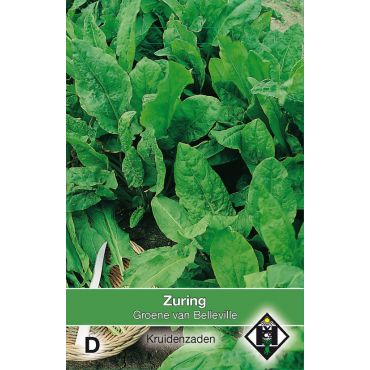 Zuring / Rumex - afbeelding 1